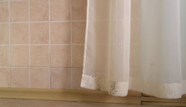 Best Water Damage & Mold Remediation  in Plainview, TX