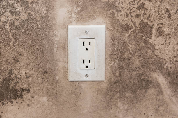 Best Real Estate Mold Inspection  in Plainview, TX